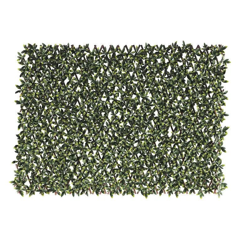 Miniaturebillede 1